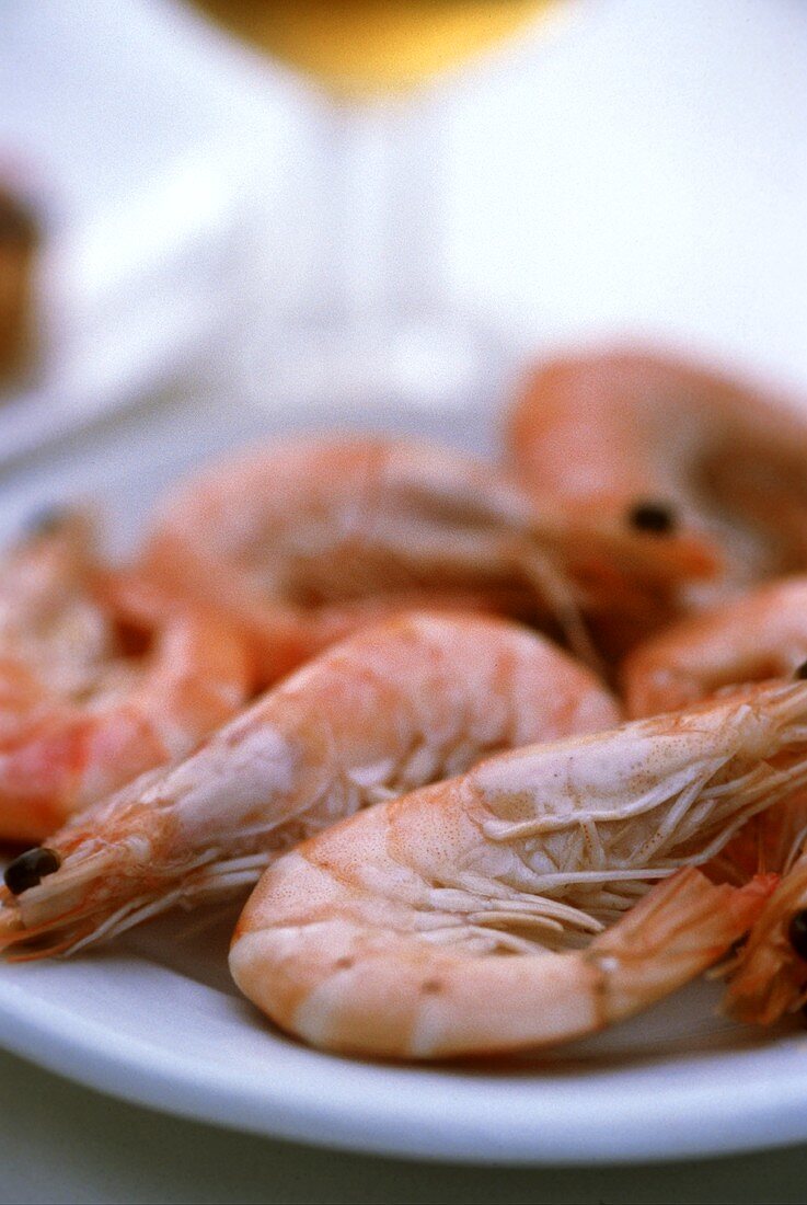 Shrimps on a plate