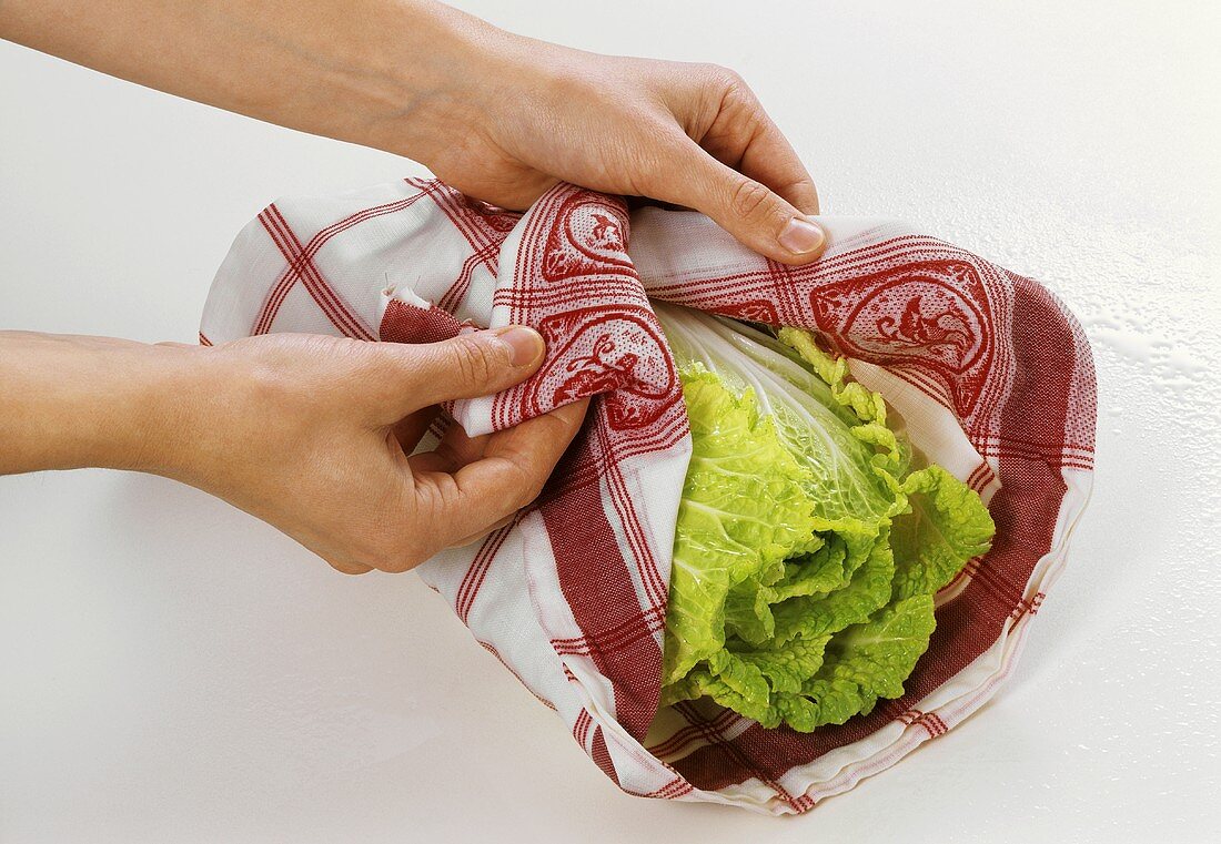 Wrapping Chinese cabbage in damp cloth