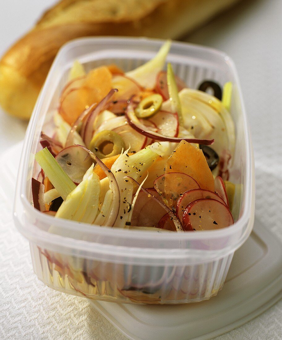 Fennel & onion salad with carrots & radishes in plastic box