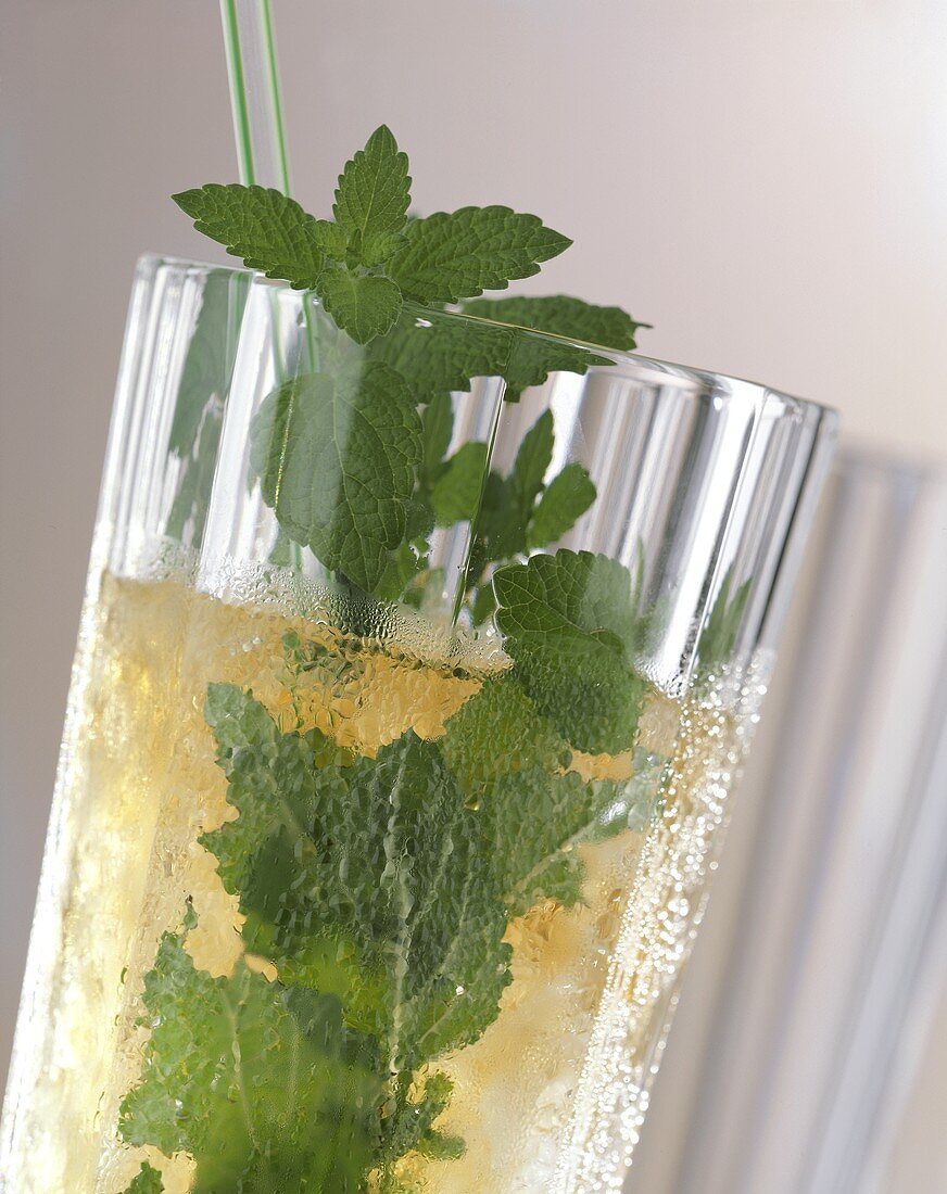 Mojito with mint leaves