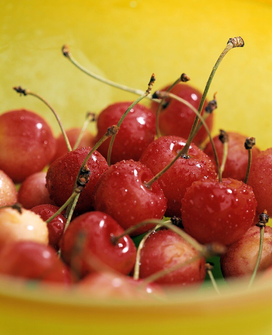 Washed Red Cherries