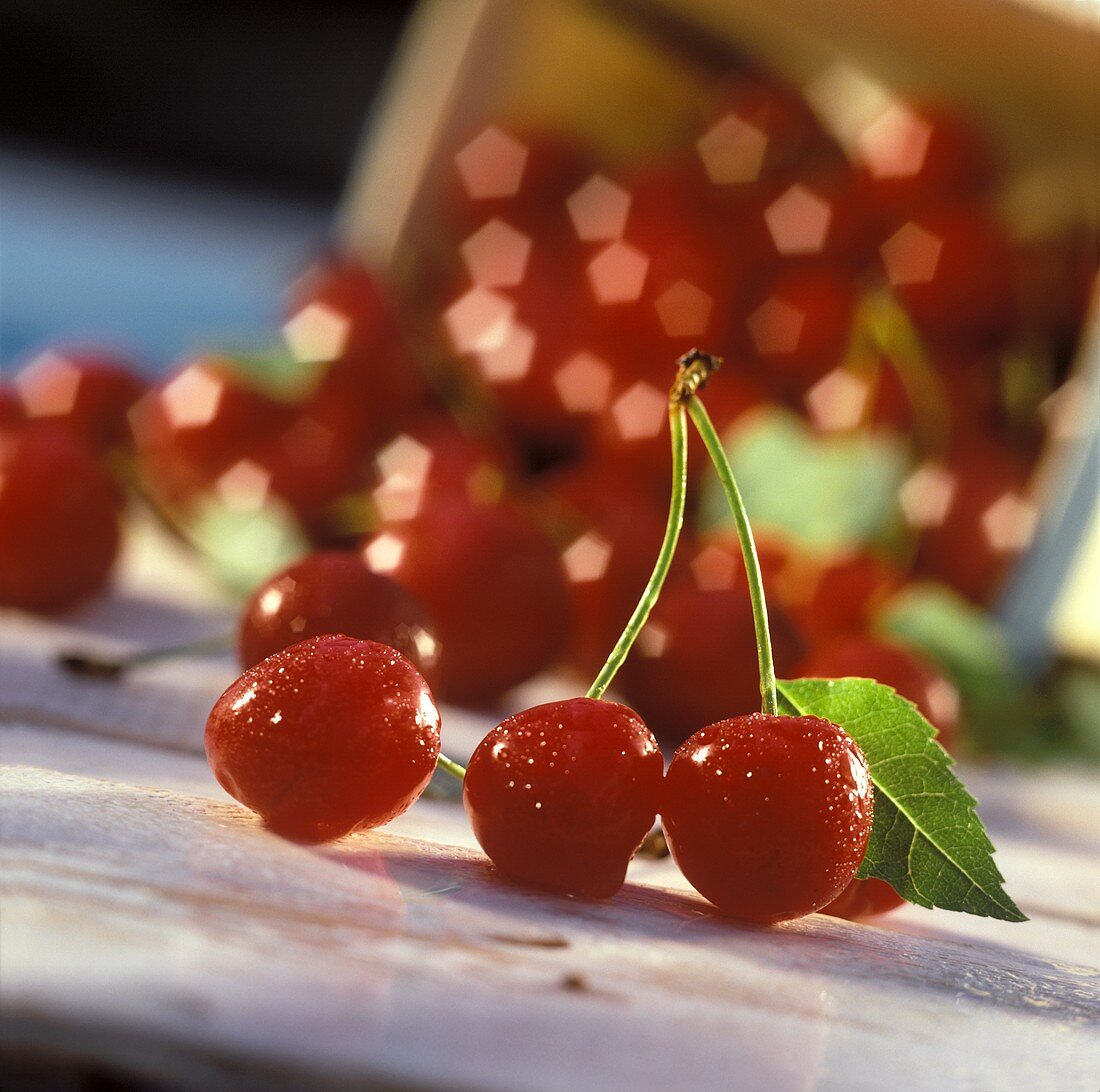 Cherries with drops of water