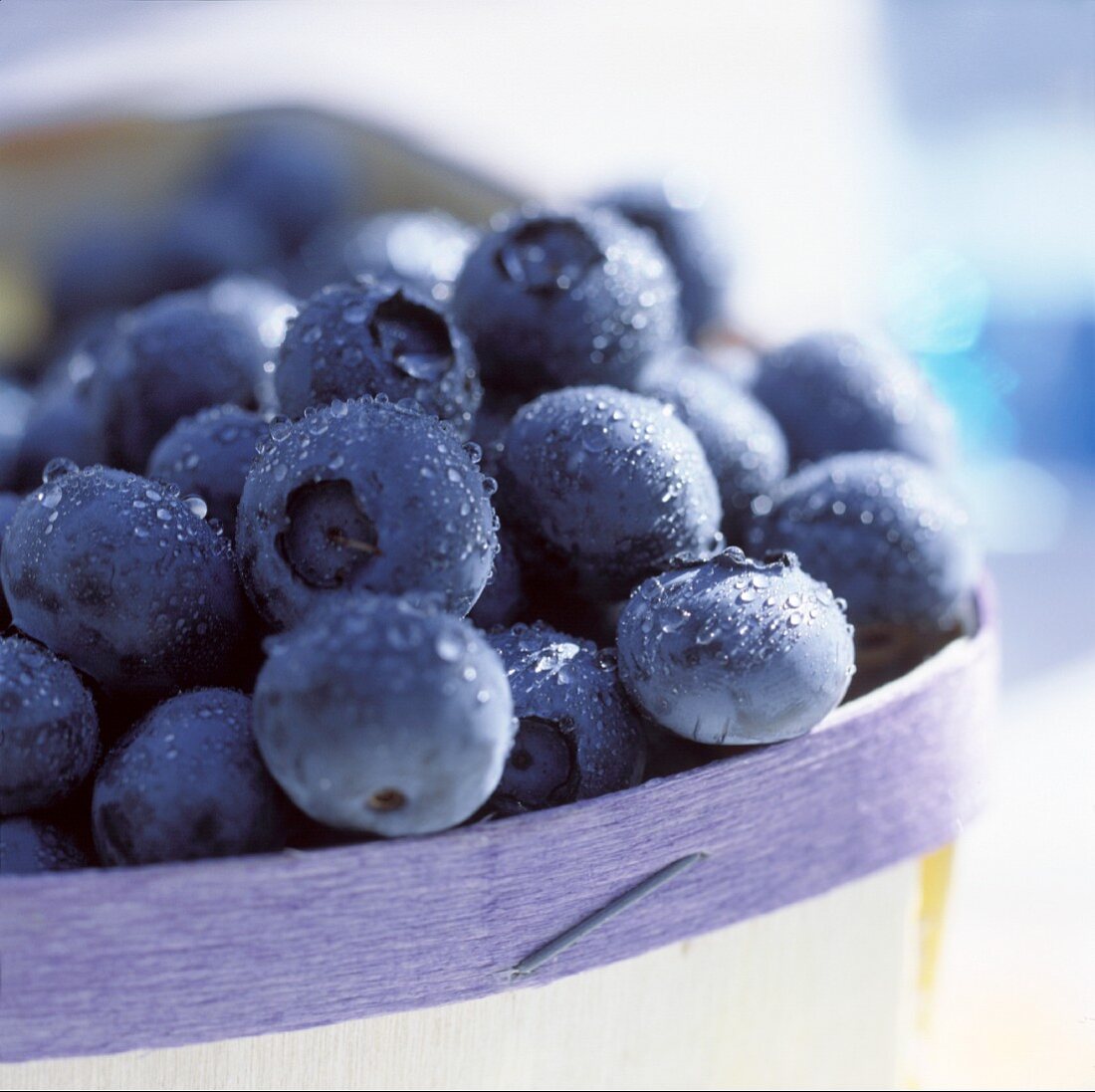 Fresh blueberries in a punnet