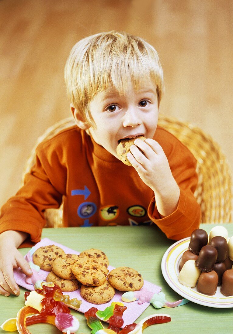 Small boy eating a chocolate biscuit