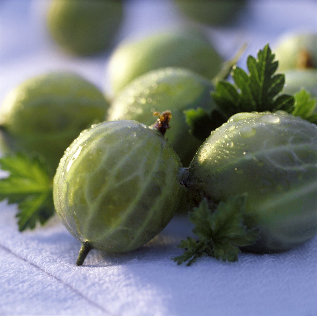 Gooseberries with drops of water