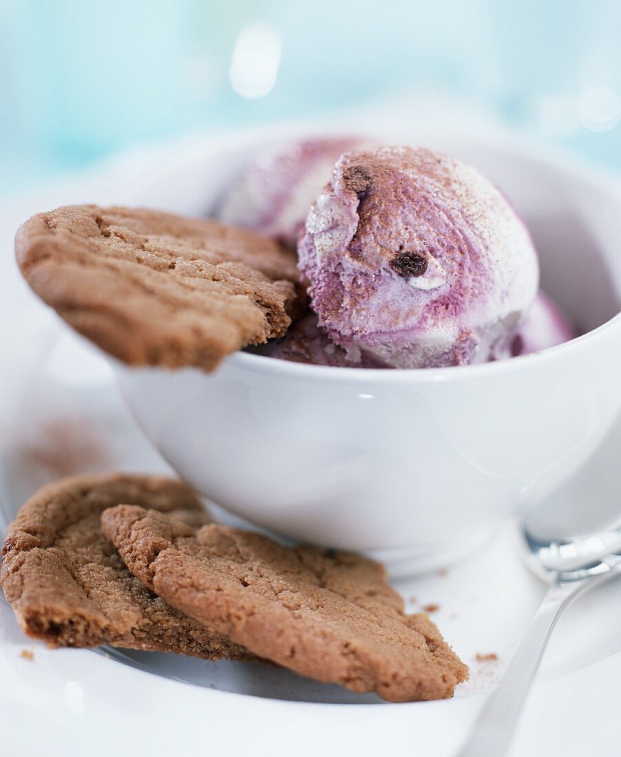 Blueberry yoghurt ice cream with biscuit