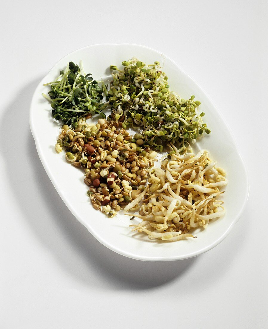 Various sprouts on plate
