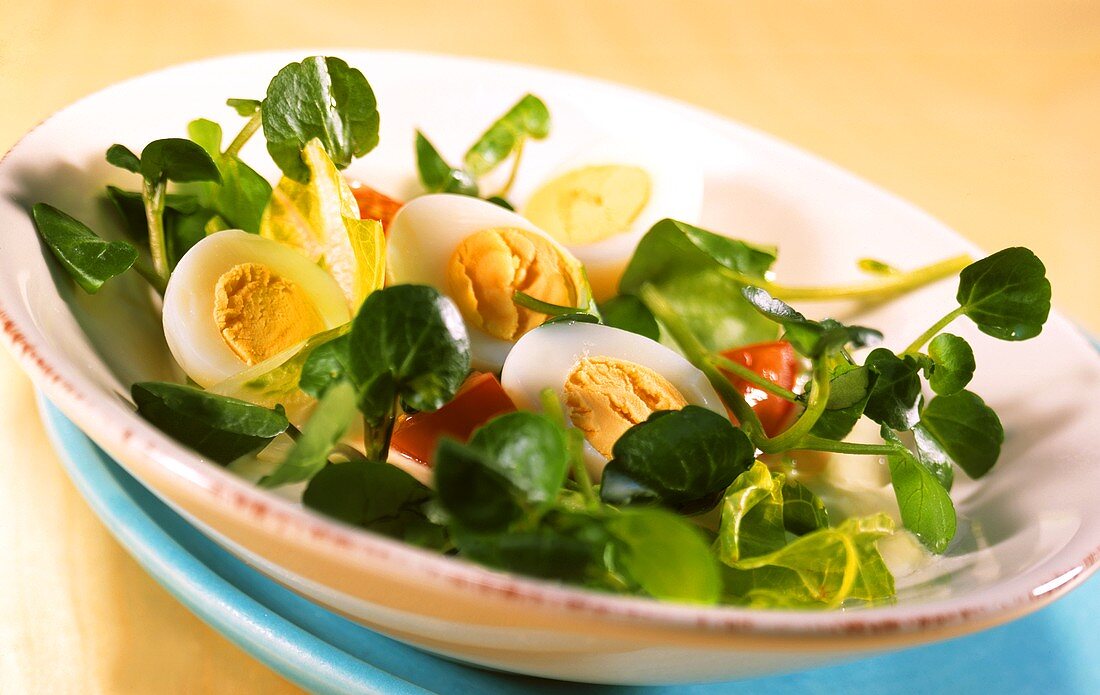 Brunnenkressesalat mit Wachteleiern