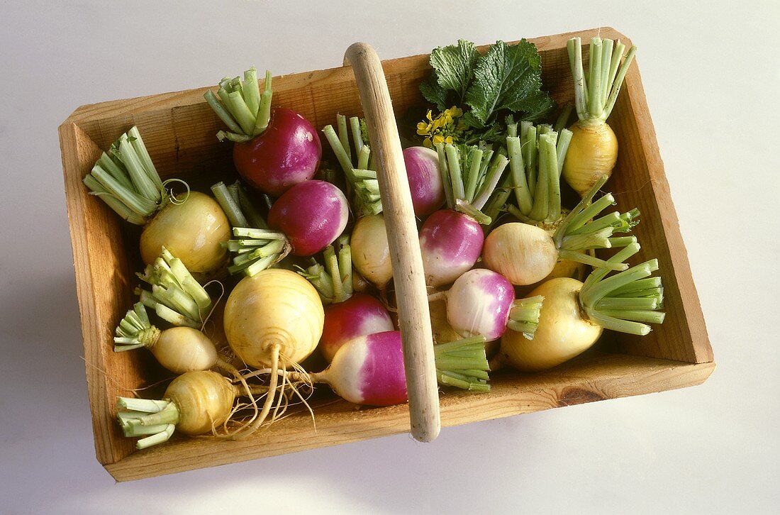 Various turnips in wooden basket