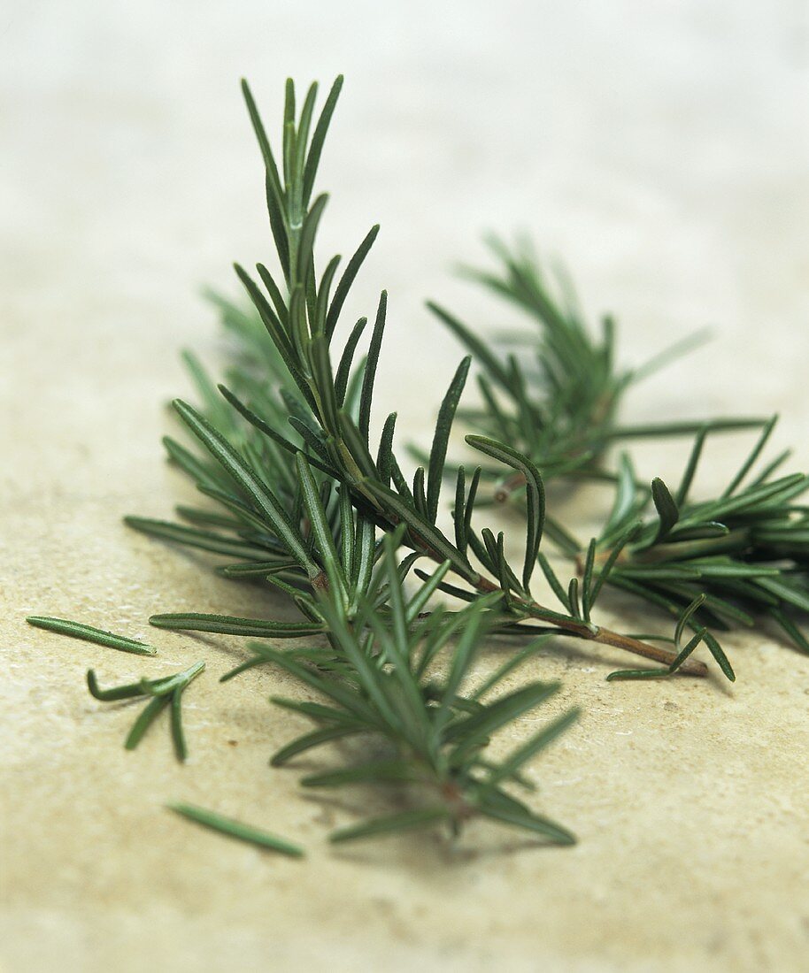 Fresh rosemary