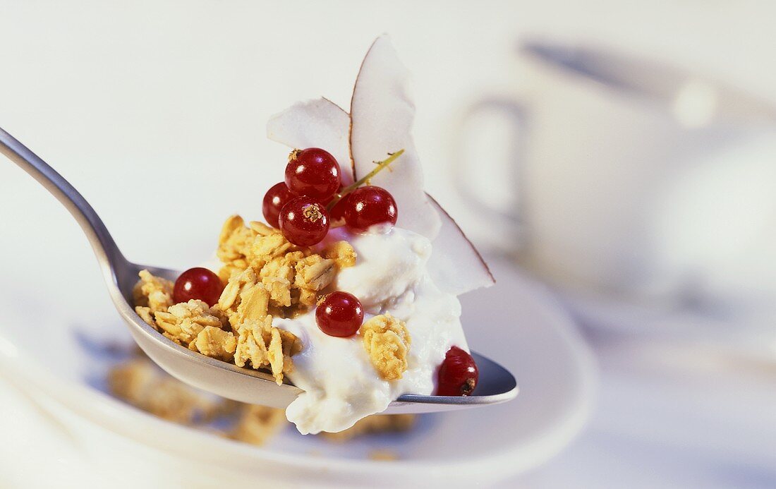 Müsli mit Joghurt, Johannisbeeren und Kokosspänen auf Löffel