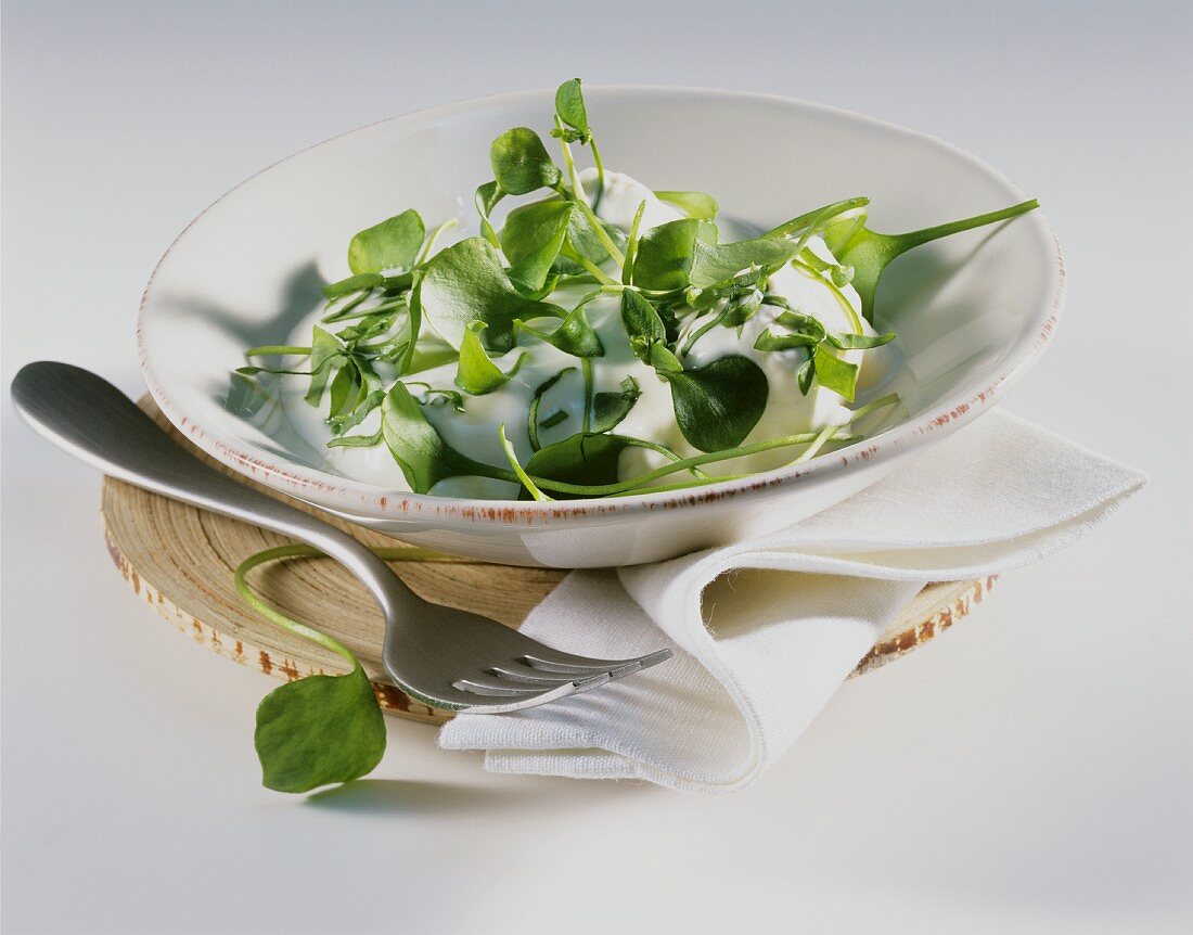 Purslane salad with yoghurt dressing