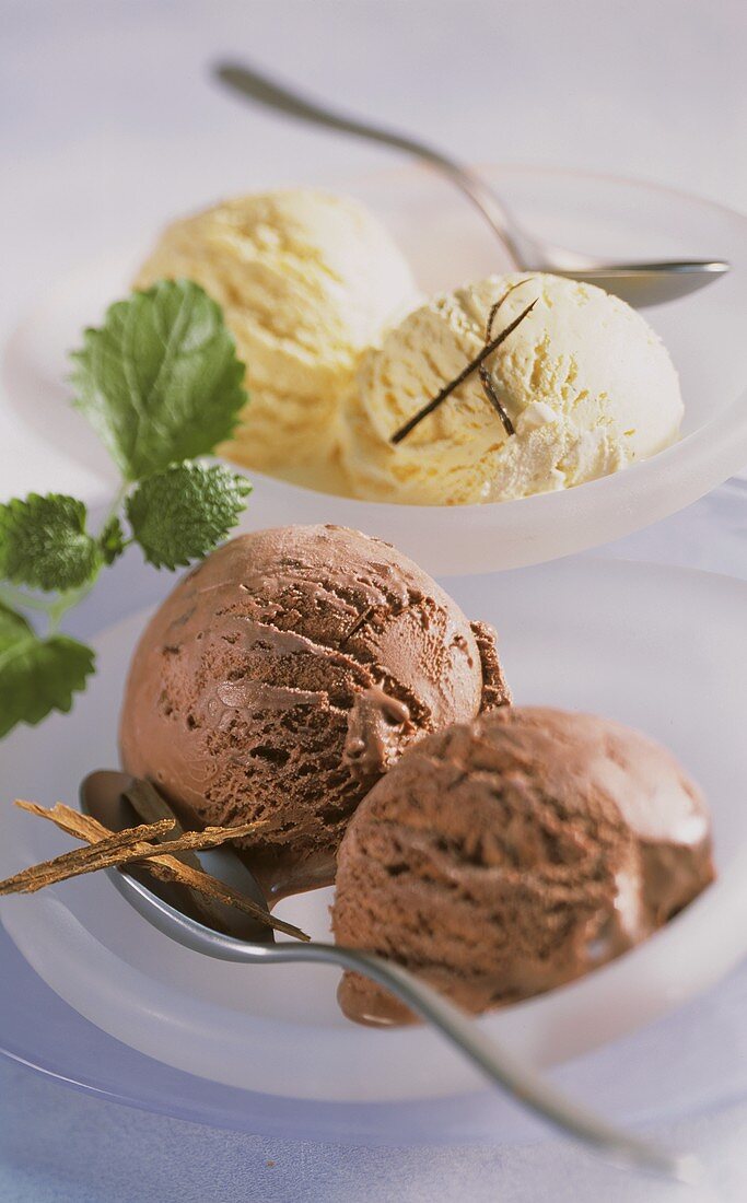 Ice cream:chocolate with cinnamon & vanilla, two scoops of each