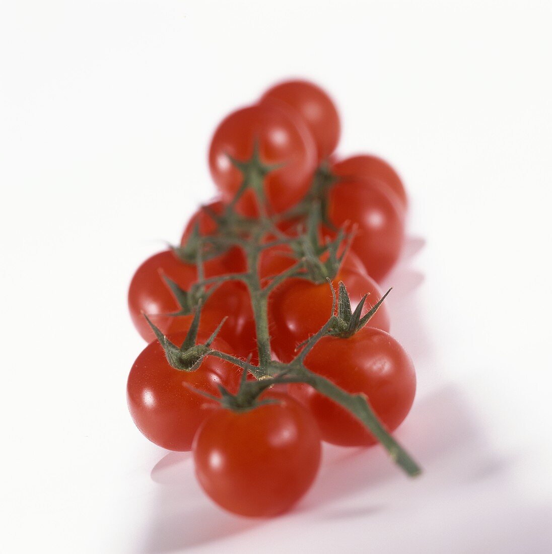 Cocktail tomatoes on the truss