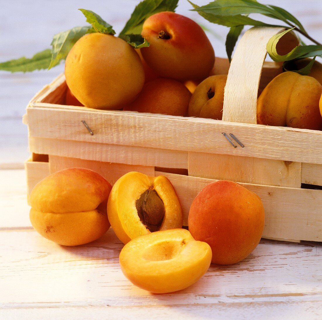 Apricots in chip basket