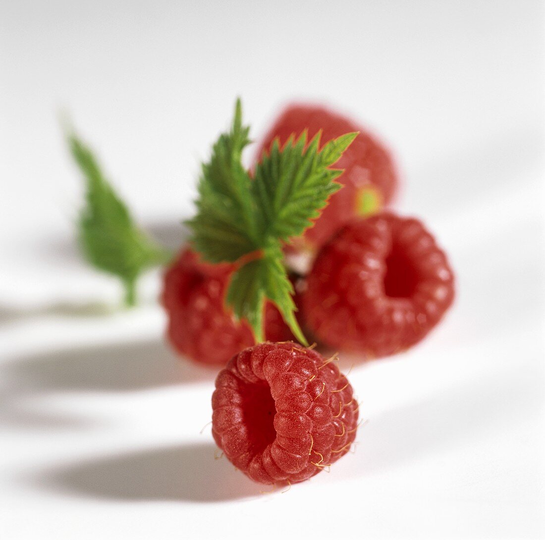 Raspberries with leaf