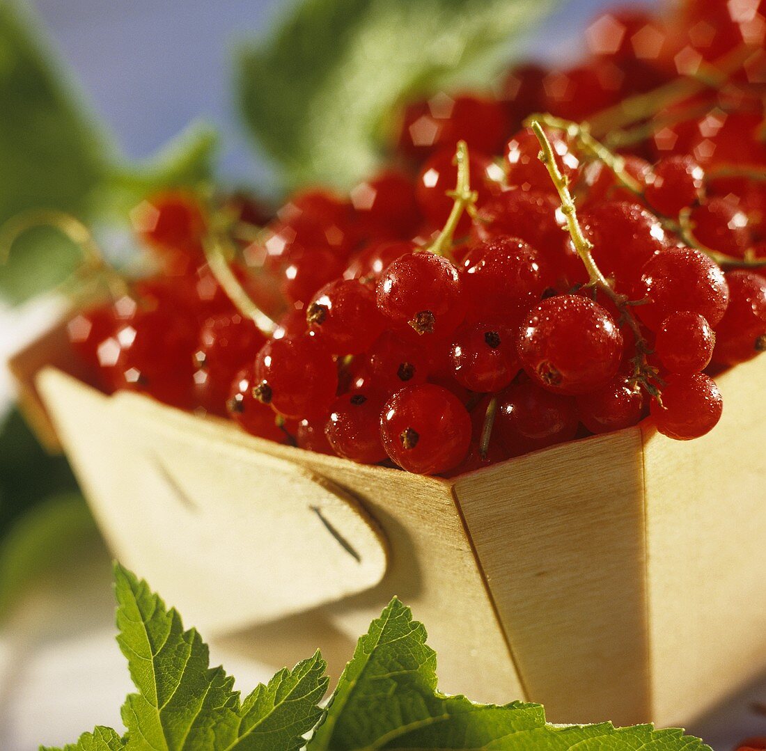 Redcurrants with dew drops in wooden bowl