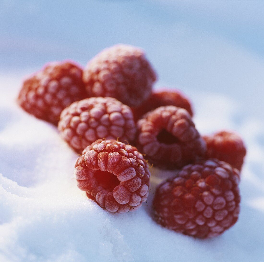 Frozen raspberries on crystal sugar