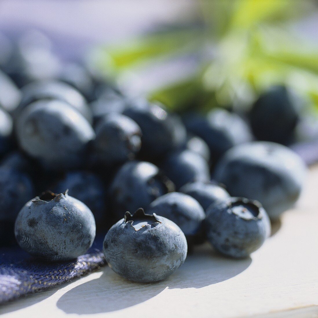 Blueberries with leaves