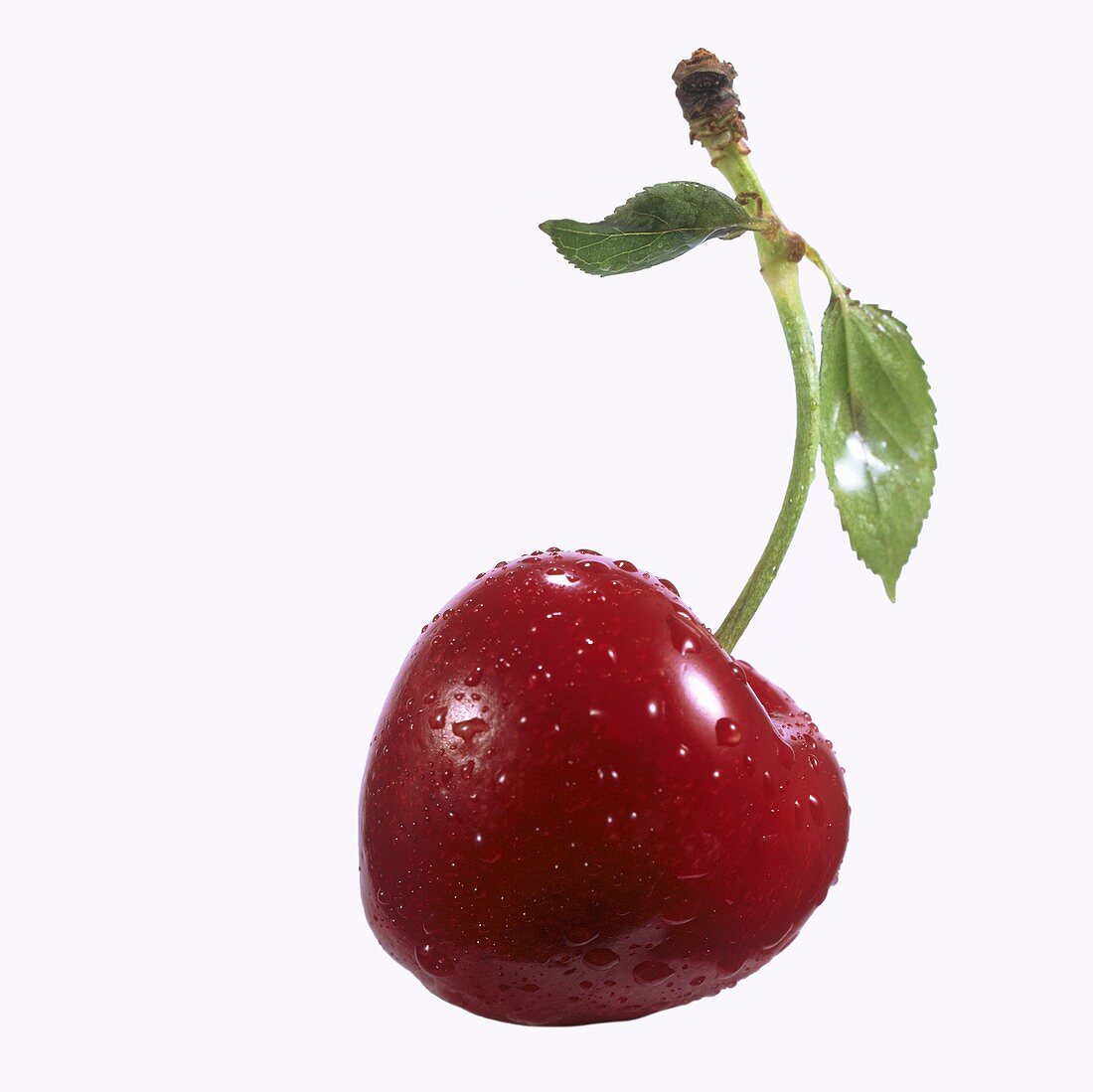 One Cherry