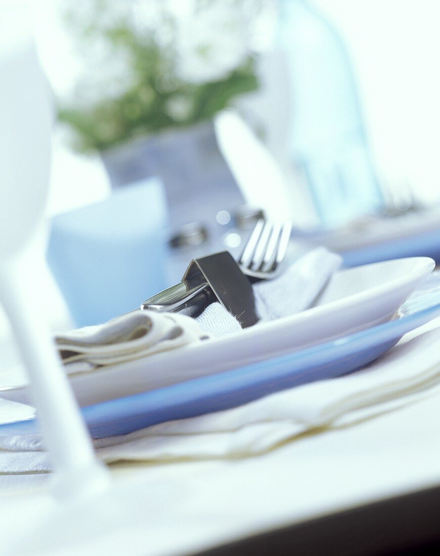 Place setting with blue and white plates