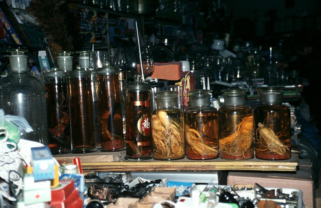 Snakes preserved in schnapps and ginseng (North East China)