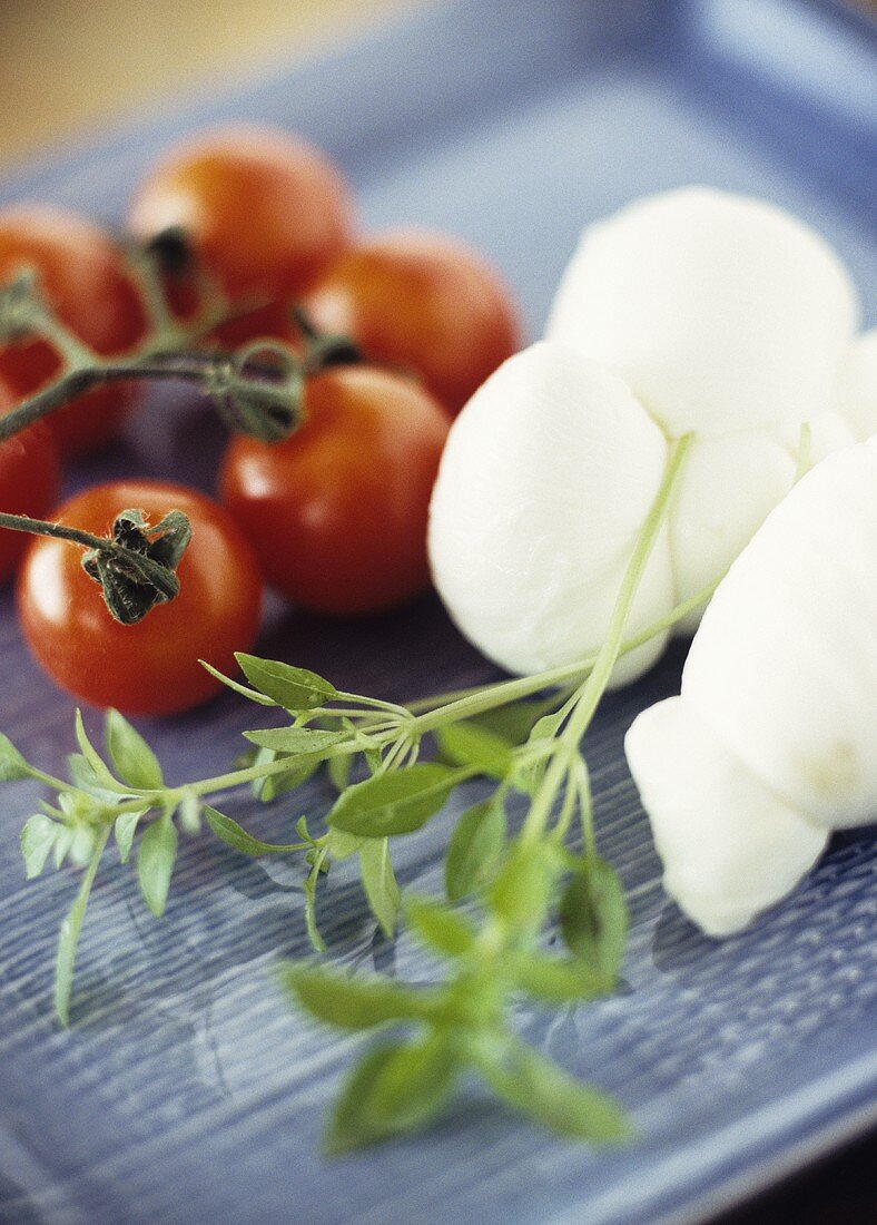 Stillleben mit Mozzarella, Tomaten und Basilikum