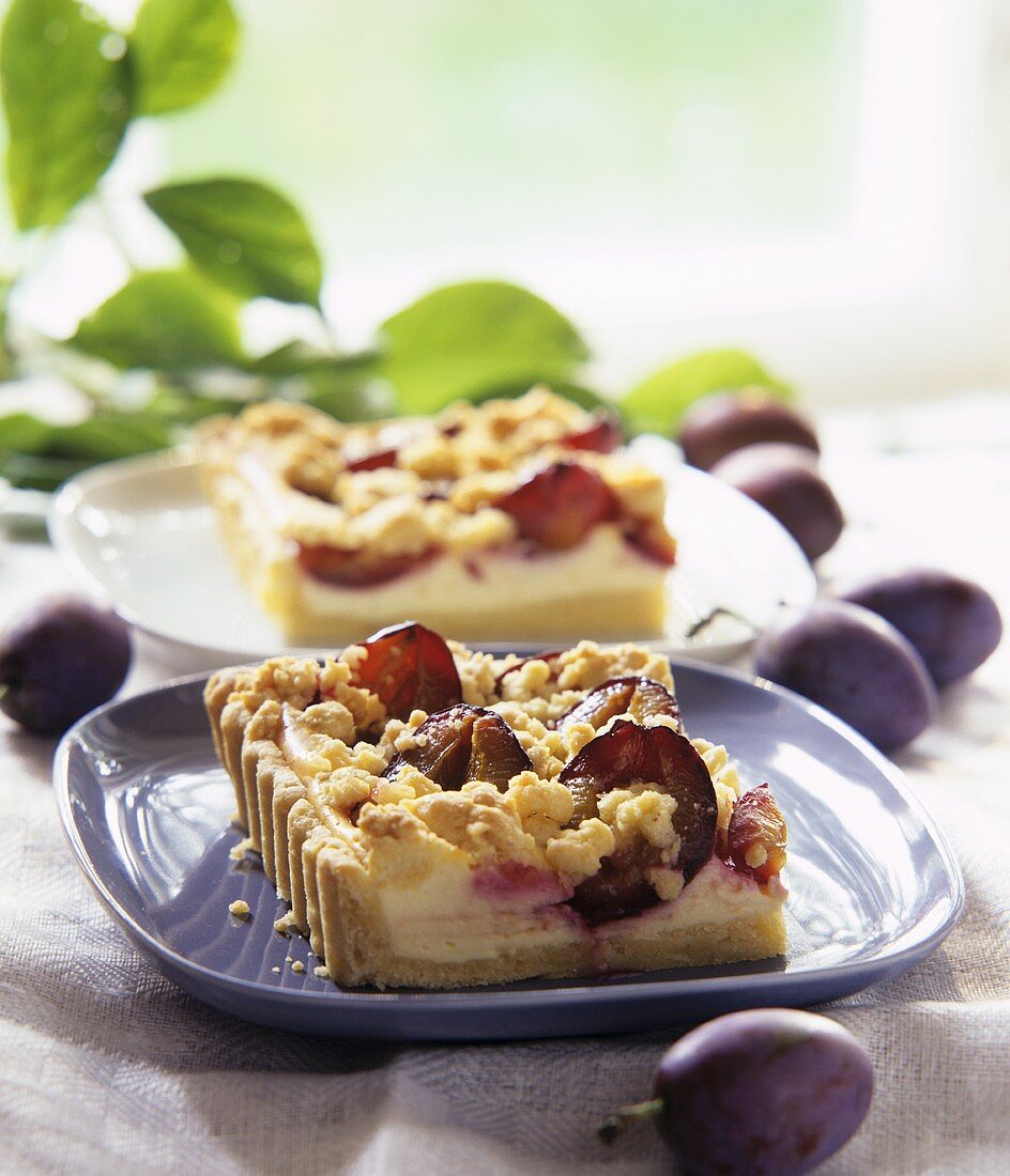 Plum cheesecake in slices
