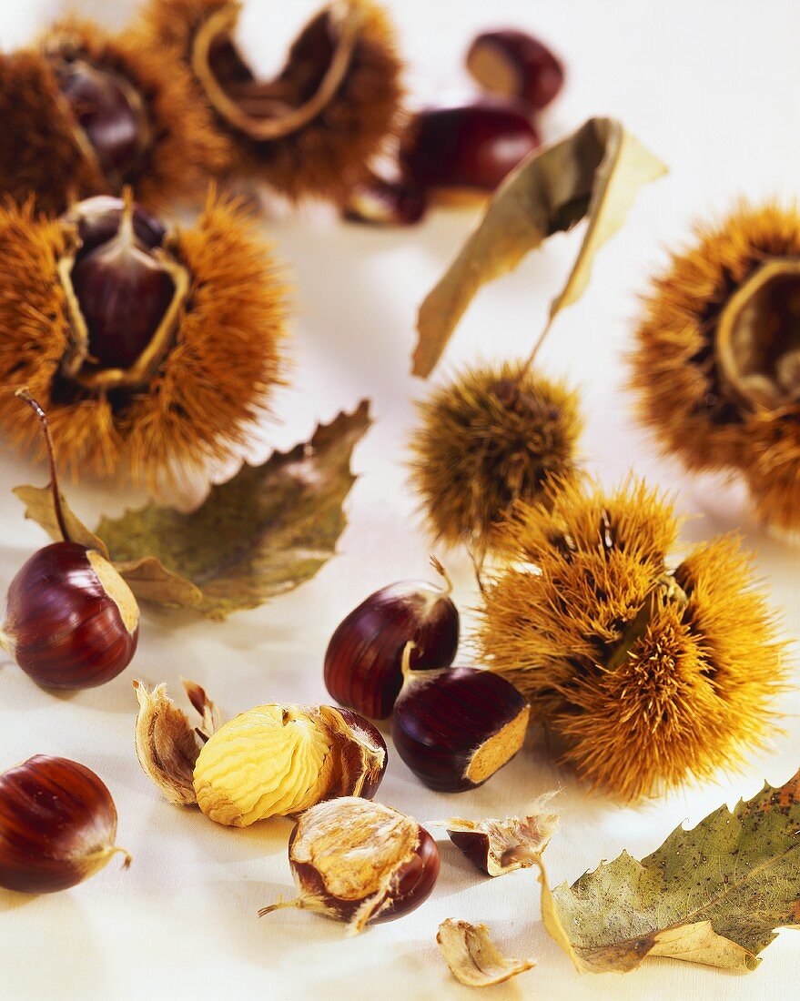 Chestnuts with and without shell