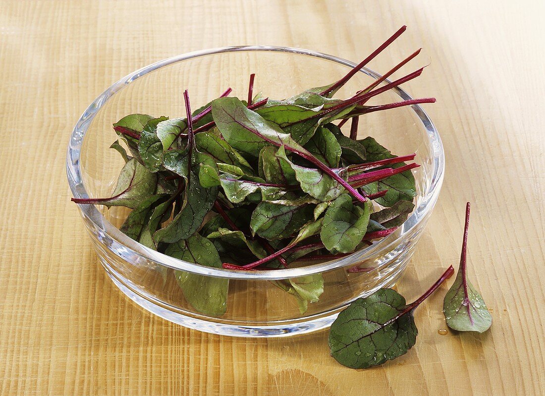 Frisch gewaschene Rote-Bete-Blätter (für Salat)