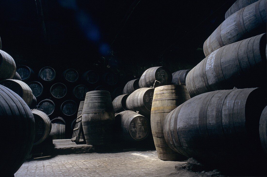 Port maturing in wooden barrels, Vila Nova de Gaia, Portugal