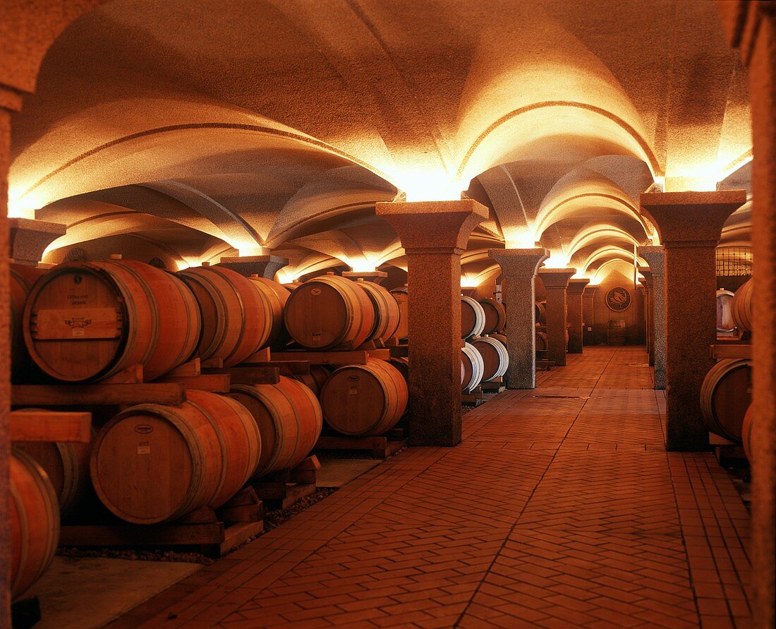 Eindrucksvoller Weinkeller im Weingut Steenberg, Constantia