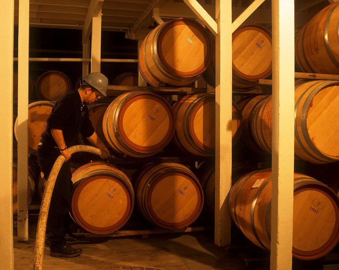 Wine barrels stored in racks, Orlando Winery, Barossa Valley