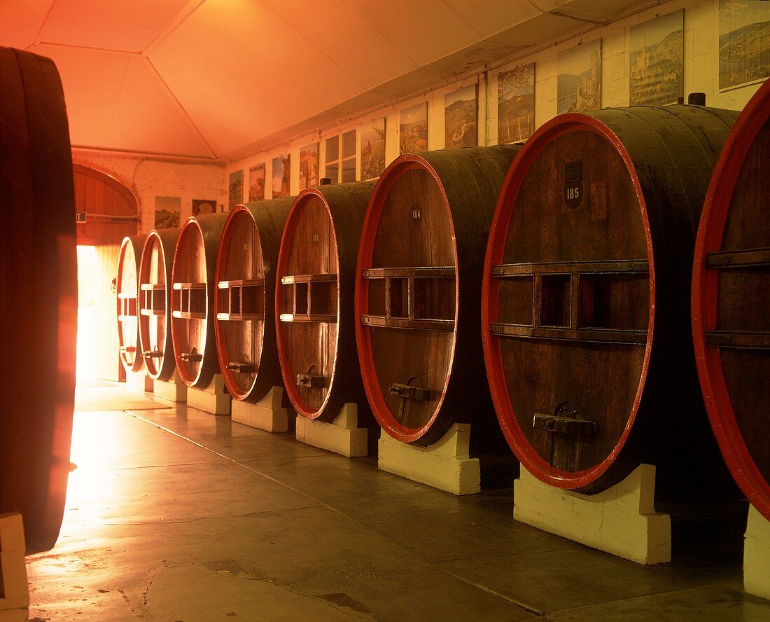 Wine cellar of the Chateau Yaldara Winery, Barossa, Australia