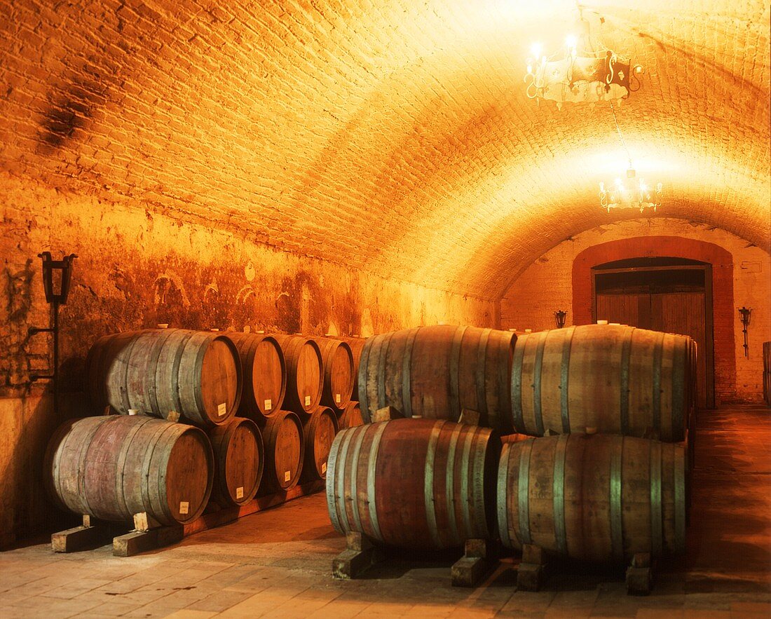 Fine wine cellar of the Vina Errazuriz Winery, chile