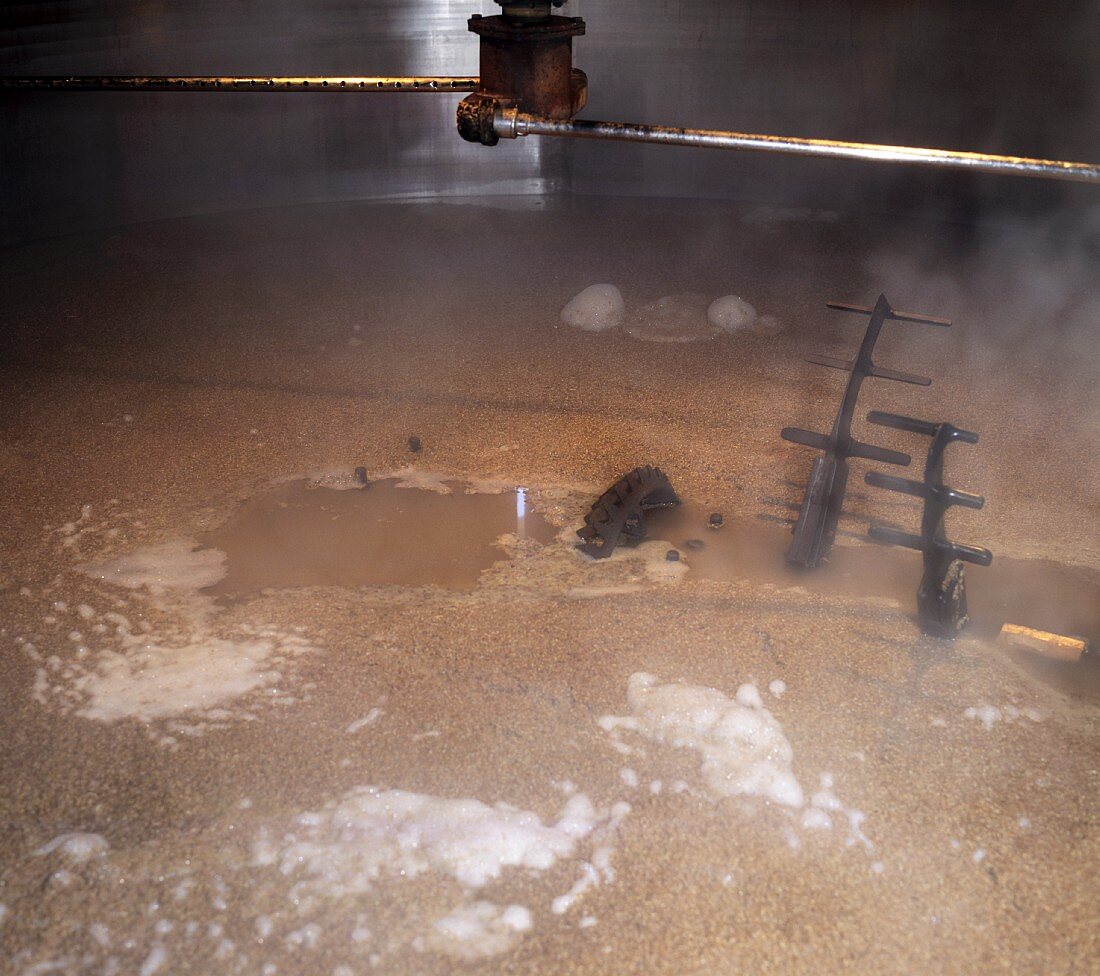 Mash in large container for whisky, Glengoyne, Scotland