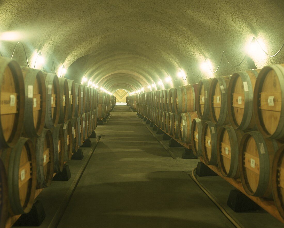 Wine cellar of Viader vineyards, Napa Valley, California