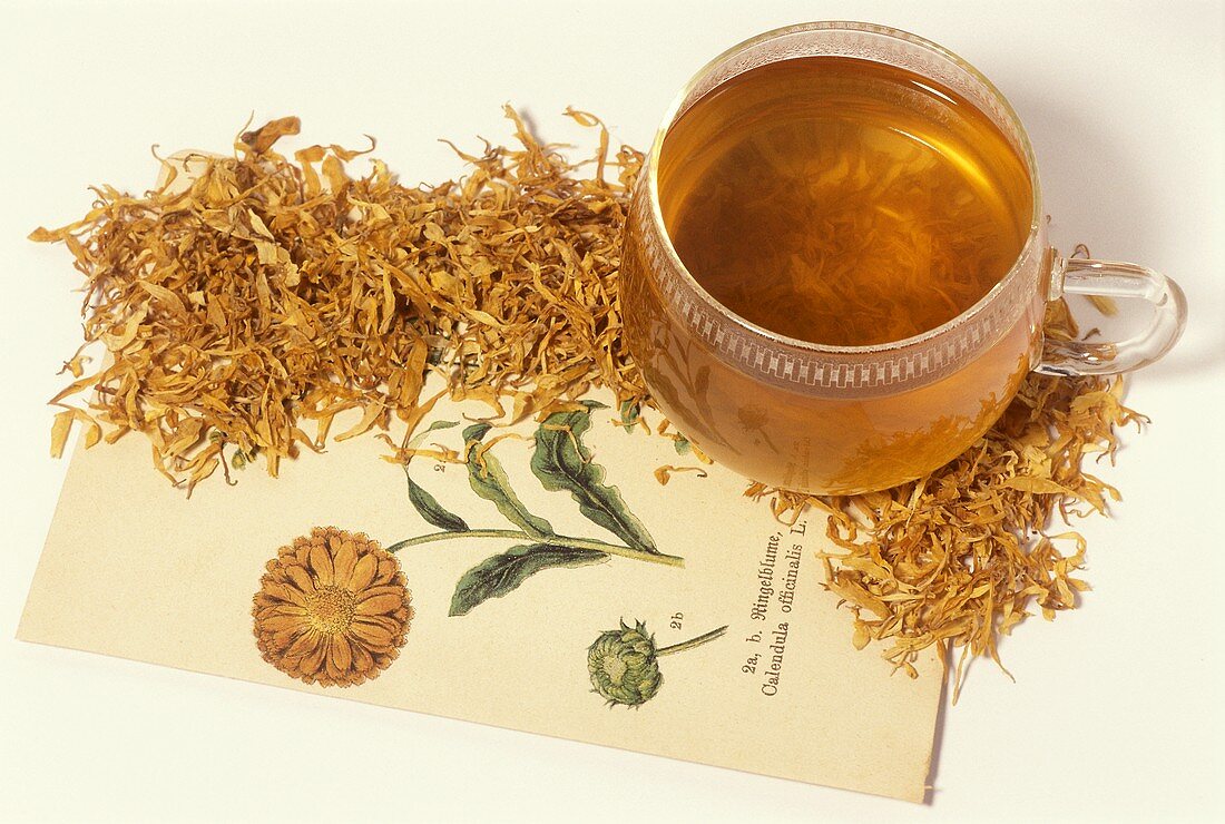 Marigold tea and dried flowers (Calendula officinalis)