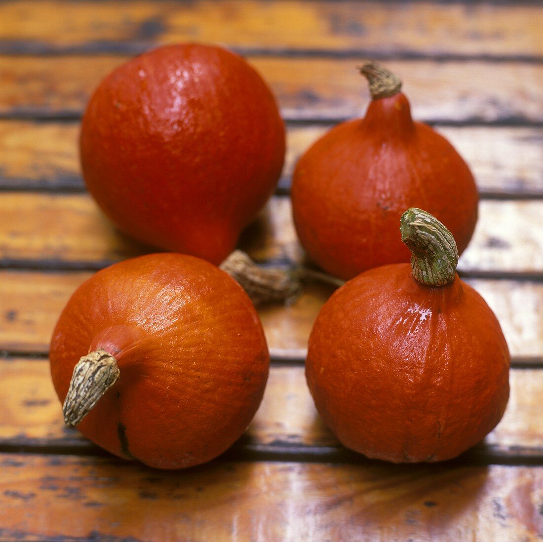 Four pumpkins (variety: Oranger Knirps)