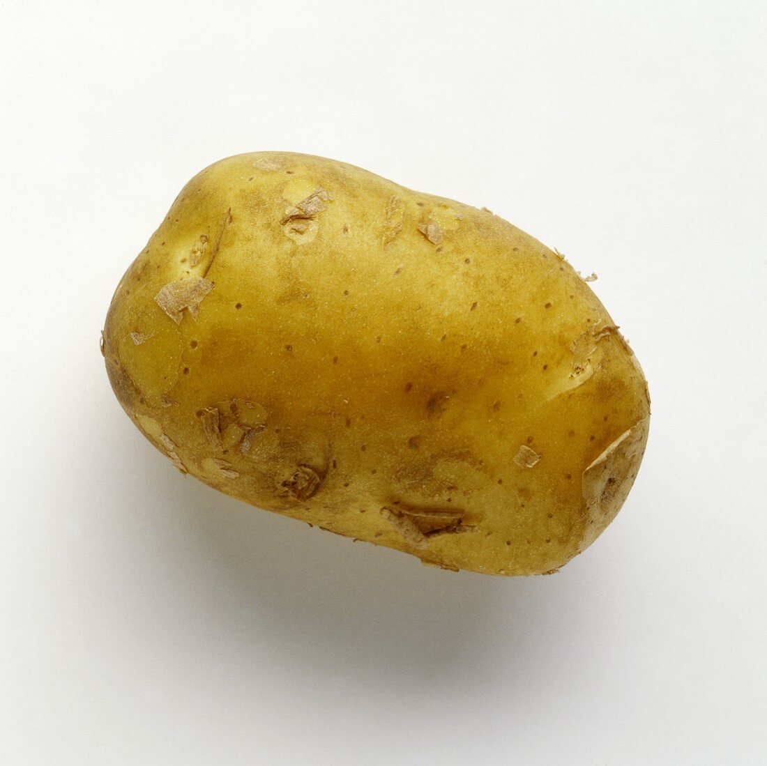 Eine Kartoffel (Sorte: Sigma)