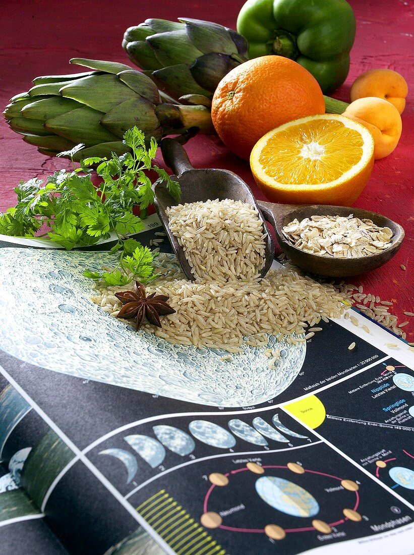 Reis, Haferflocken, Obst und Gemüse für die Monddiät