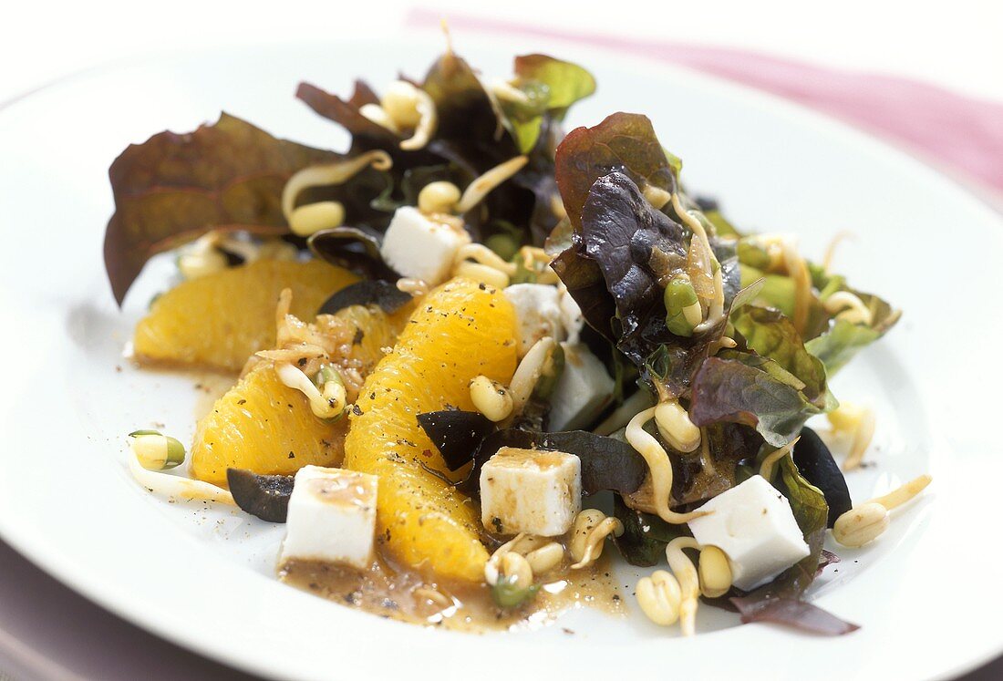 Feta-Mungobohnensprossen-Salat mit Orangen