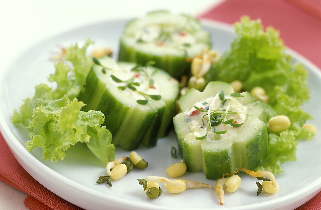 Cucumber slices with feta and quark stuffing and sprouts