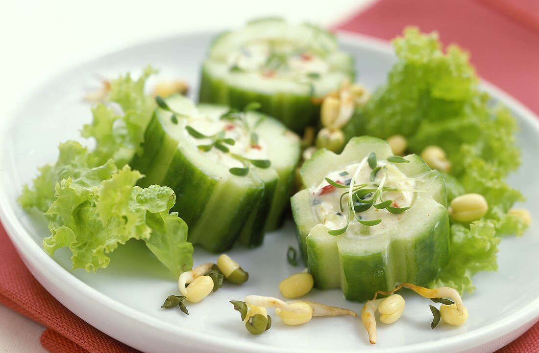 Gurkenscheiben mit Feta-Quark-Füllung und Sprossen