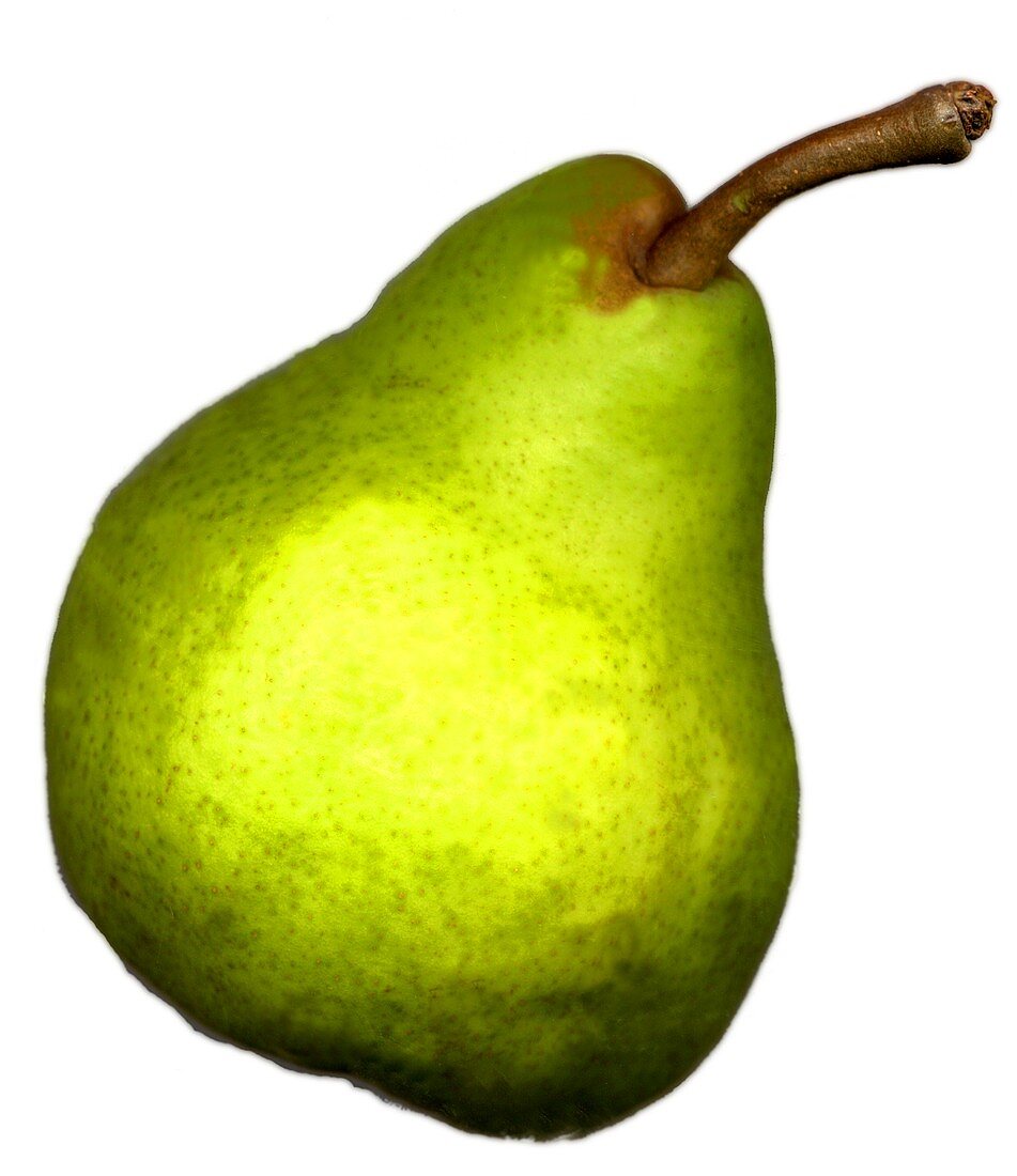 Green Williams pear