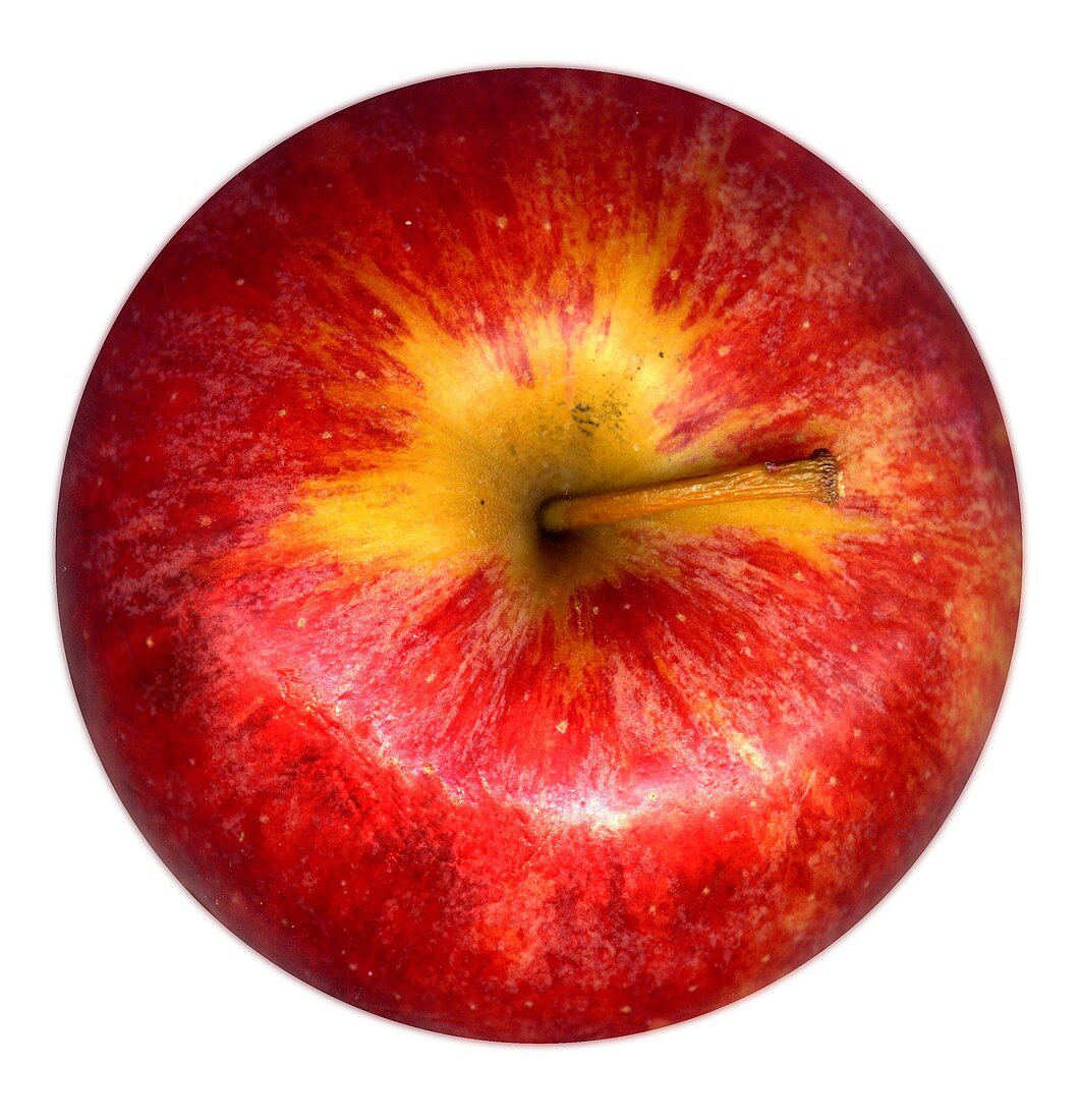 Roter Apfel (Royal Gala)