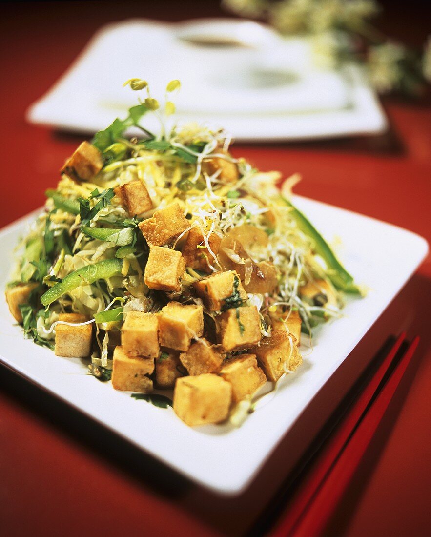 Japanischer Kohlsalat mit Sprossen & Tofu (fettarm + gesund)