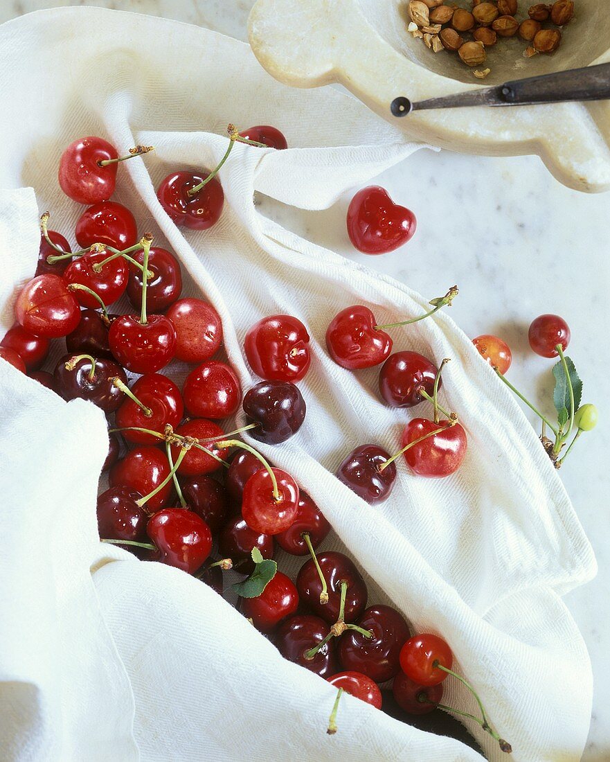 Cherries on kitchen cloth, cherry stoner & cherry stones