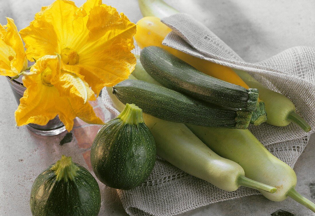 Various types of courgettes and courgette flowers