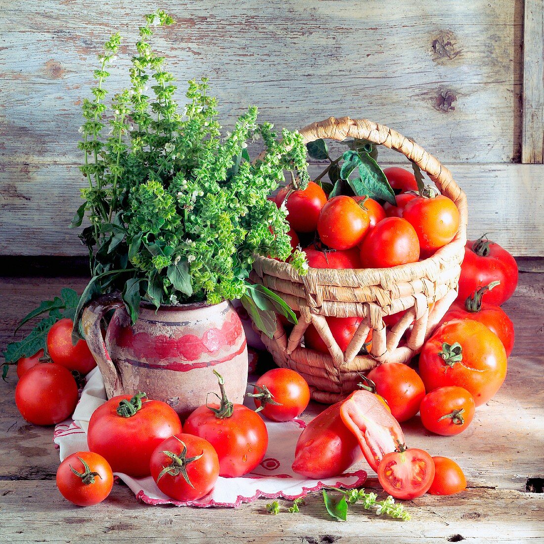 Stillleben mit Tomaten und blühendem Basilikum in einer Vase
